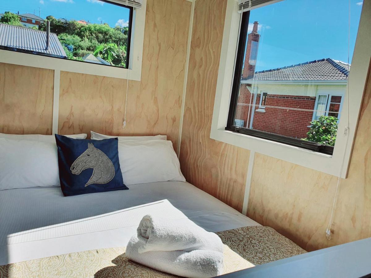 Dunedin Retreat Cabin المظهر الخارجي الصورة